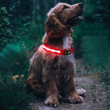 Luminous LED Pet  Dog Collar Light-up USB Rechargeable Dog Collar Red