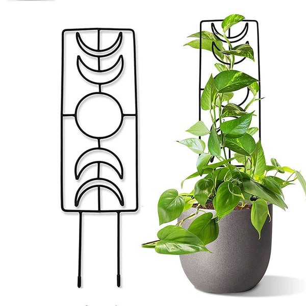 Moon Phase Trellis Indoor Plant Trellis Climbing Plant Small Garden Trellis for Potted Plant