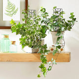 2Pcs Moon Phase Trellis Indoor Plant Trellis Climbing Plant Small Garden Trellis for Potted Plant