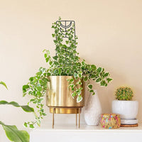 Moon Phase Trellis Indoor Plant Trellis Climbing Plant Small Garden Trellis for Potted Plant