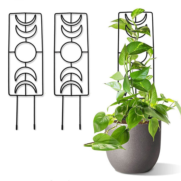 2Pcs Moon Phase Trellis Indoor Plant Trellis Climbing Plant Small Garden Trellis for Potted Plant