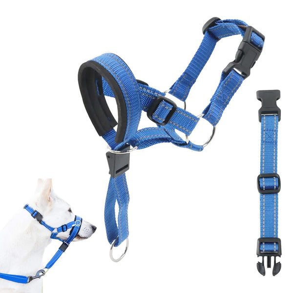 Adjustable Dog Head Collar Training Collar for Long-Snout Dogs Blue