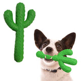 Cactus Shaped Dog Chew Toys Rubber Pet Teething Toy Interactive Dog Toys Dog Cleaning Teeth Toy