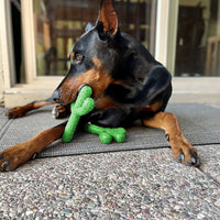 Cactus Shaped Dog Chew Toys Rubber Pet Teething Toy Interactive Dog Toys Dog Cleaning Teeth Toy