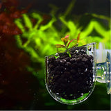 6Pcs Acrylic Aquarium Feeder Transparent Aquatic Red Worm Cups with Suction Cups