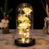 Artificial Rose Flowers with Lights Romantic Rose Gift-Warm Light