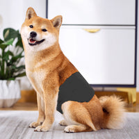 2Pcs Reusable Dog Diaper Water-resistant Dog Belly Wrap for Male Dog