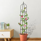 Trellis for Climbing Plants Outdoor Garden Tall Plant Trellis Support for Potted Plants