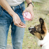 Portable Pet Silicone Treat Bag Multi-Purpose Dog Training Pouch with Carabiner Pink