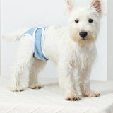 2Pcs Reusable Female Dog Nappy Diapers Hygiene Sanitary Pants Underpants Blue