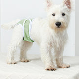 2Pcs Reusable Female Dog Nappy Diapers Hygiene Sanitary Pants Underpants Green