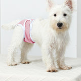 2Pcs Reusable Female Dog Nappy Diapers Hygiene Sanitary Pants Underpants Pink