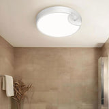 Motion Sensor Ceiling Light USB Rechargeable Induction Night Light for  Closets Shower Stairs Hallway