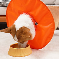 Adjustable Pet Dog E Collar Breathable Dog Cone Recovery Collar Orange