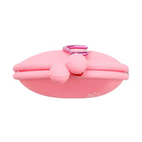 Portable Pet Silicone Treat Bag Multi-Purpose Dog Training Pouch with Carabiner Pink