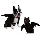 Black Bat Wings Costume Prop Dress Up Halloween Pet Dog Holiday Decor