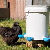 5Pcs Automatic Chicken Waterer Cups Water Feeder for Chicks Duck Goose Blue