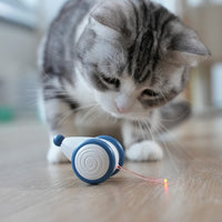 Simulated Mouse Automatic Cat Toy with LED Lights