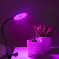 Single Head USB LED Grow Light Dimming Growing Lamp for Indoor Plant Flower Veg Hydroponic