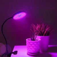 USB LED Grow Light Dimming Growing Lamp for Indoor Plant Flower Vegetable