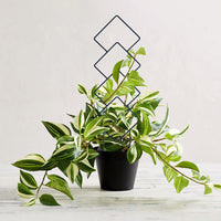 Set of 8Pcs Indoor Plant Trellis for Climbing Plants Metal Trellis Support Stake for Potted Plants