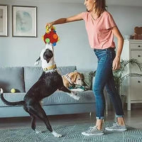 Pet Snuffle Ball with Interactive Rope Interactive Puzzle Toys Dog Chew Toys Red