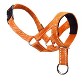 Adjustable Dog Head Collar Training Collar for Long-Snout Dogs Orange