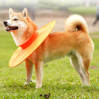 Adjustable Pet Dog E Collar Breathable Dog Cone Recovery Collar Orange