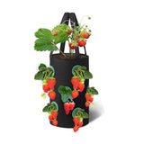 Set of 2Pcs 3 Gallon 12-Planting-Hole Grow Bag with Sturdy Hanging Handle Plant Grow Bag for Strawberry Vegetables Black