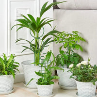 4Pcs Indoor Plant Trellis Metal Potted Houseplant Trellis Climbing Plants Support Stake Green