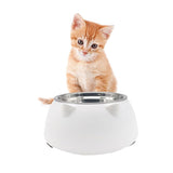 Tilted Dog Food Bowl Stainless Steel Cat Dog Feeder White