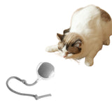 Interactive Cat Toy Ball Fast Rolling Chirping Motion Activate Cat Toys Gray