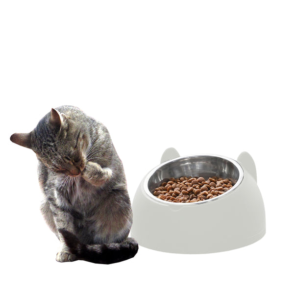 Tilted Dog Food Bowl Stainless Steel Cat Dog Feeder White