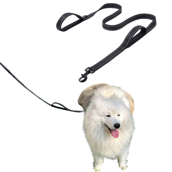 Reflective Dog Leash with Padded Handle Outdoor Dog Training Chain Dual Handle Lead Double Handle Lead Black