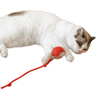 Interactive Cat Toy Ball Fast Rolling Chirping Motion Activate Cat Toy Red