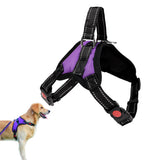 Adjustable Dog Harness No Pull Padded Vest for Small Medium Large Dogs Purple