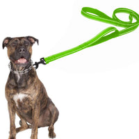 Reflective Dog Leash with Padded Handle Outdoor Dog Training Chain Dual Handle Lead Double Handle Lead Green