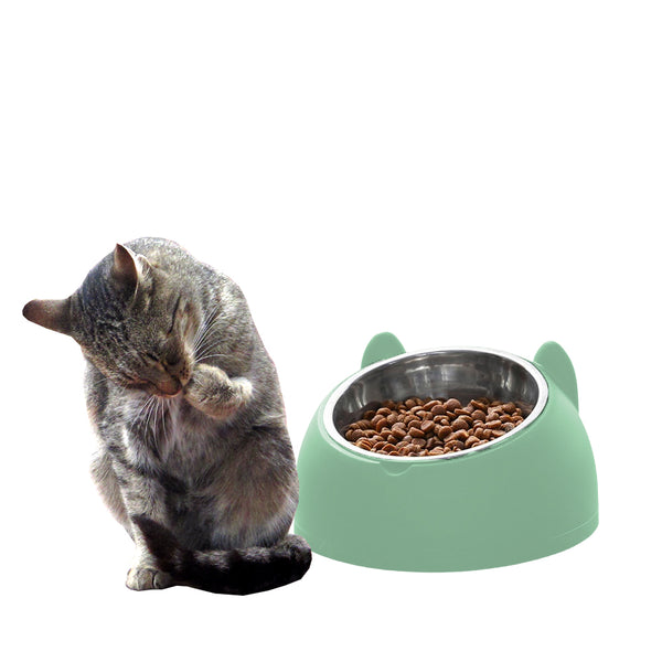 Tilted Dog Food Bowl Stainless Steel Cat Dog Feeder Green