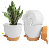 Set of 3Pcs Self Watering Planters for Indoor Plants with Drainage Hole Plastic Pots for Flowers Succulents White