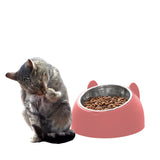 Tilted Dog Food Bowl Stainless Steel Cat Dog Feeder Pink