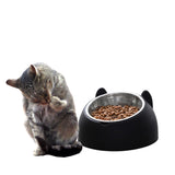 Tilted Dog Food Bowl Stainless Steel Cat Dog Feeder Black