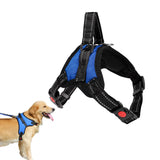 Adjustable Dog Harness No Pull Padded Vest for Small Medium Large Dogs Blue