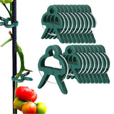 Set of 40Pcs Plant Support Clips Garden Plant Clip for Vines Grow Upright Climbing Supporting Stems