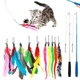 Cat Fishing Pole Toy Set Retractable Cat Wand and Feather Toys Interactive Kitten Toys