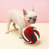 Pet Snuffle Ball Red