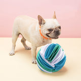 Pet Snuffle Ball Blue