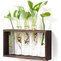 FancyGrab Wall Hanging Glass Planter Tabletop Plant Terrarium Flower Vase with 5 Test Tube for Home Office Decoration