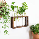 FancyGrab Wall Hanging Glass Planter Tabletop Plant Terrarium Flower Vase with 5 Test Tube for Home Office Decoration