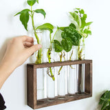 FancyGrab Wall Hanging Glass Planter Tabletop Plant Terrarium Flower Vase with 5 Test Tube for Home Office Decoration