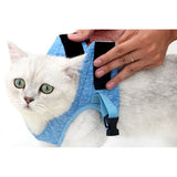 Pet Cat Harness and Leash Kit Small Blue